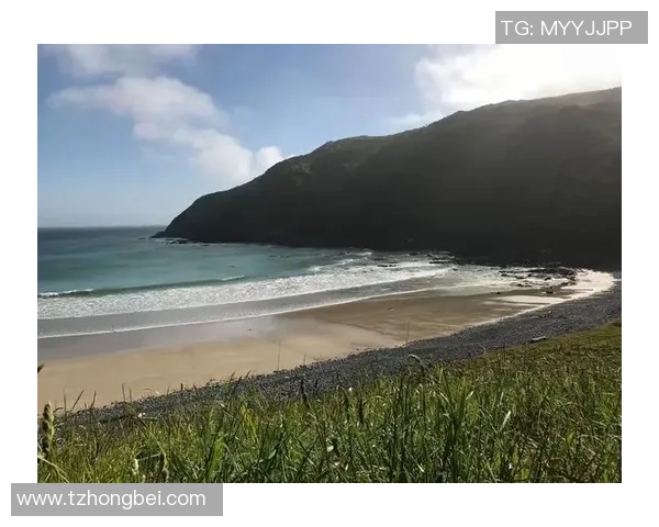 新西兰对阵安哥拉精彩直播链接及赛前分析尽在这里 新西兰对阵安哥拉精彩直播链接及赛前分析尽在这里