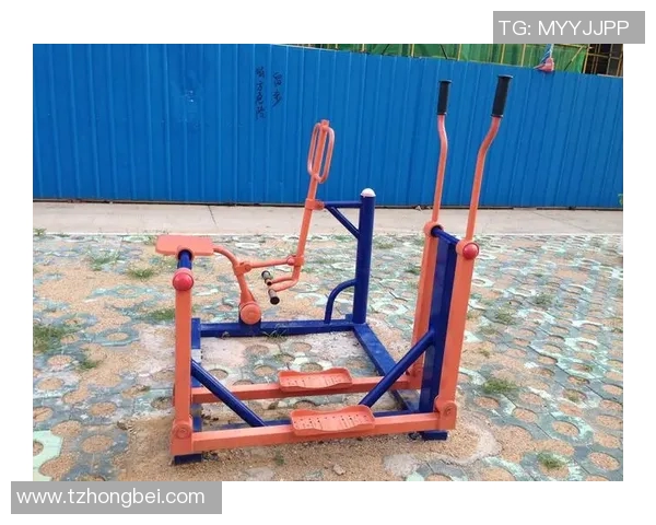 全面解析公园健身器材种类及使用方法助你健康生活每一天