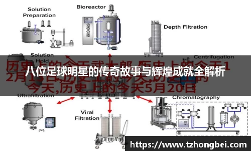 八位足球明星的传奇故事与辉煌成就全解析